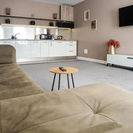Gavas Modern Lägenhet Cluj-Napoca