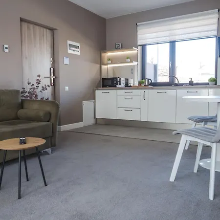 Gavas Modern Lägenhet Cluj-Napoca