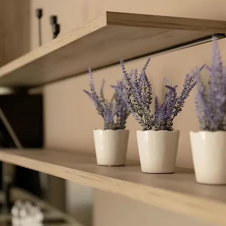 Apartament Gavas Modern Cluj-Napoca